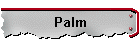 Palm